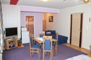 Camera Appartamento "Presidente"  Ivana -Hotel economici Zagabria